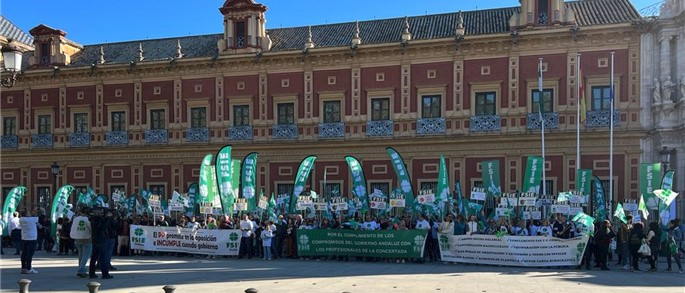 FSIE_Andalucía_concentración_24_noviembre_protesta_al_PP.png