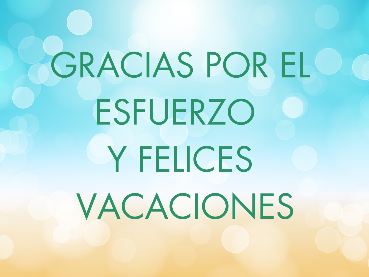 FSIE te desea feliz verano y agradece el esfuerzo realizado este curso 2023 2024