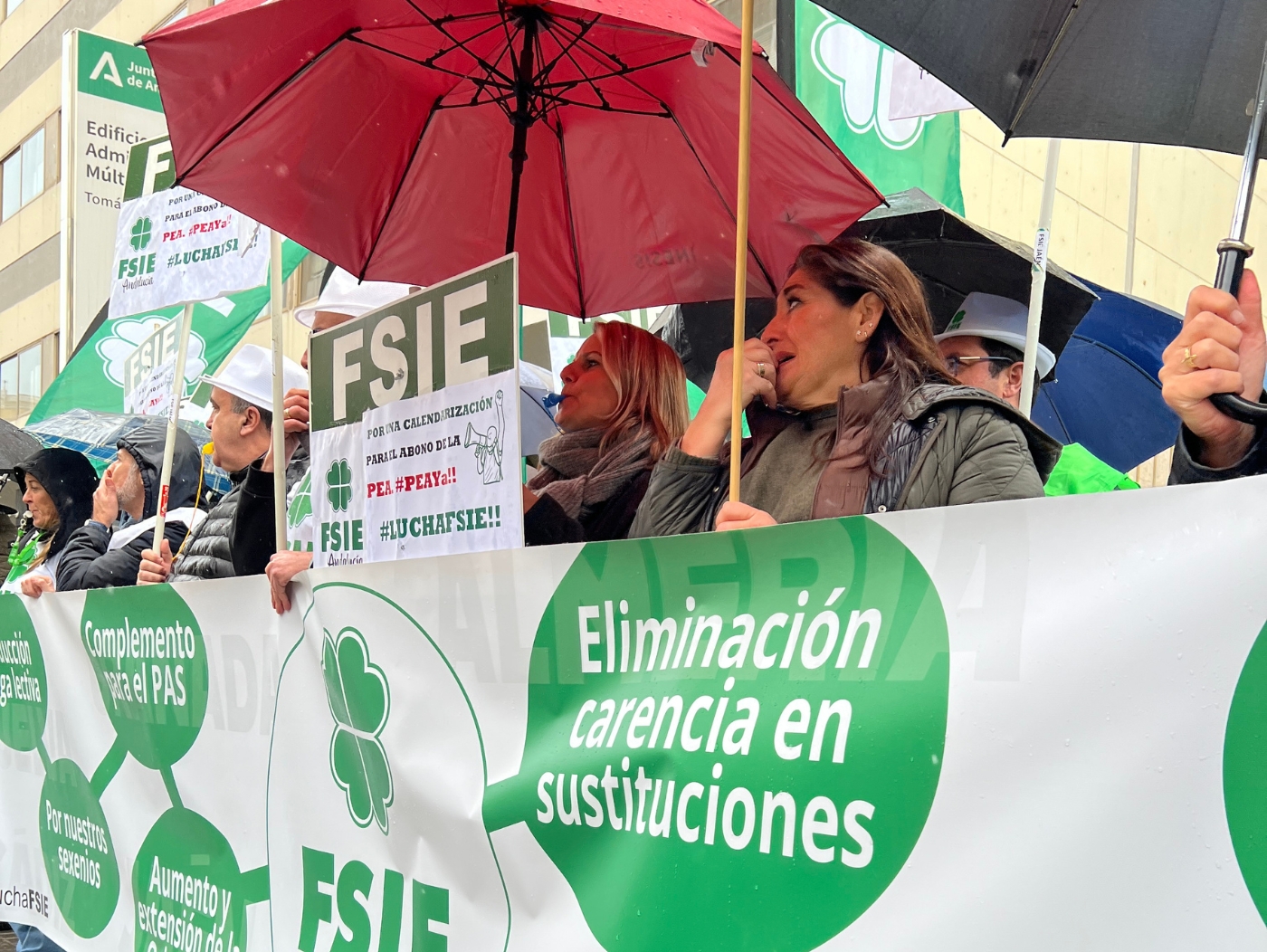 FSIE Andalucía se concentra en Córdoba por la PE A 23 enero 2025 11