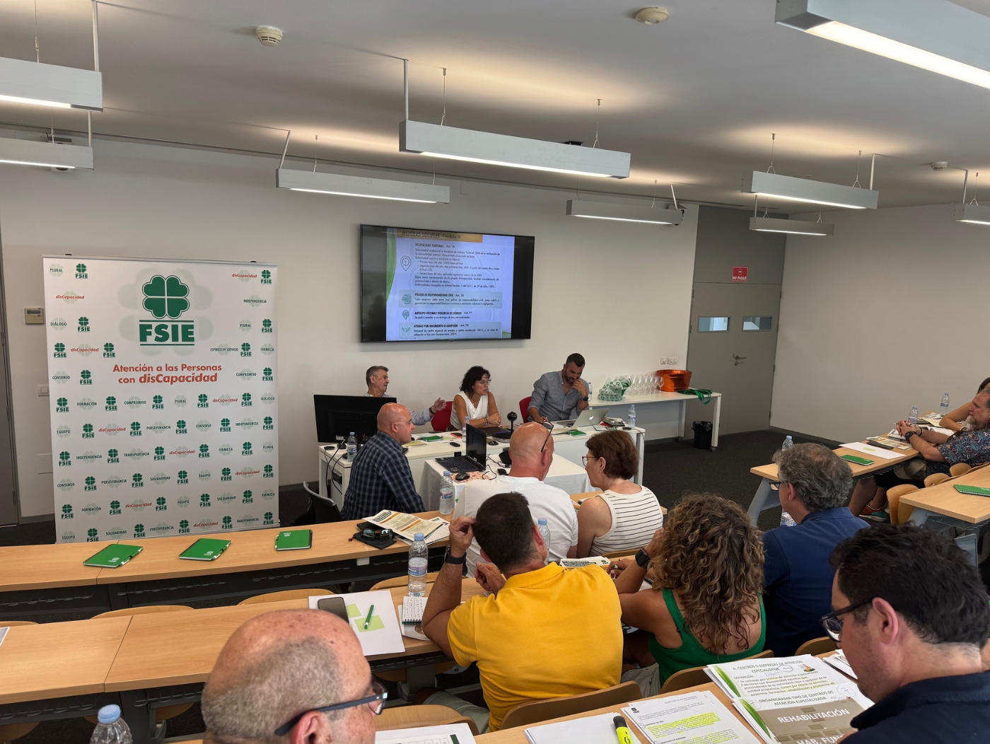 Jornada Responsables Discapacidad FSIE Granada junio 2025 1